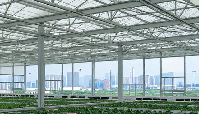 企业信息化建设中域名选择的适用条件解析