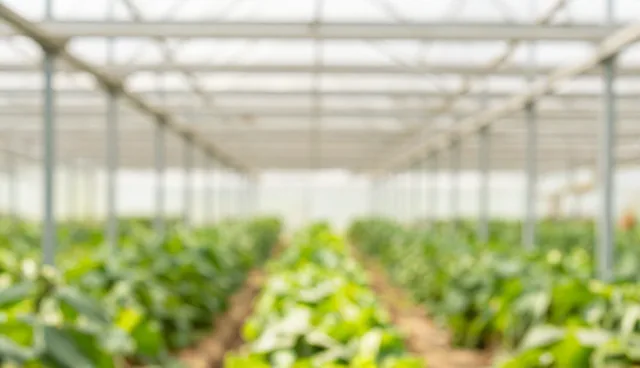 性能优化在互联网推广中的适用情况与限制